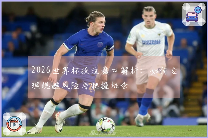 2026世界杯投注盘口解析：如何合理规避风险与把握机会