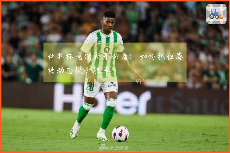 世界杯竞猜新手必看：如何抓住赛场动态提升胜率