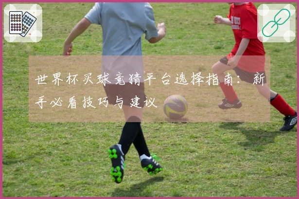 世界杯买球竞猜平台选择指南：新手必看技巧与建议