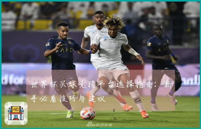 世界杯买球竞猜平台选择指南：新手必看技巧与建议