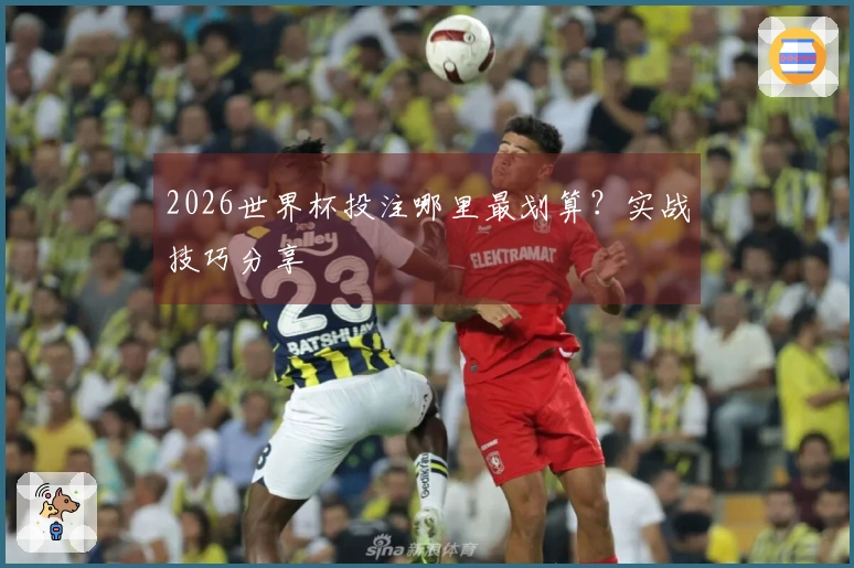 2026世界杯投注哪里最划算？实战技巧分享