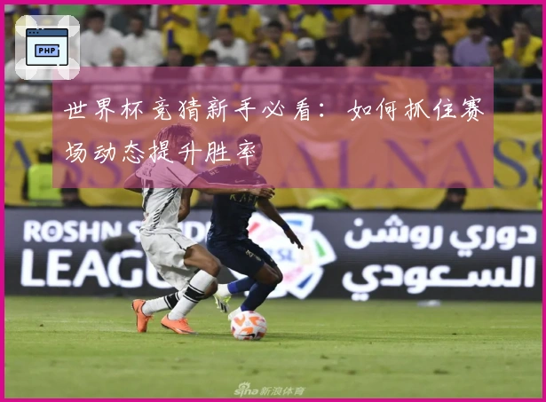 世界杯竞猜新手必看：如何抓住赛场动态提升胜率