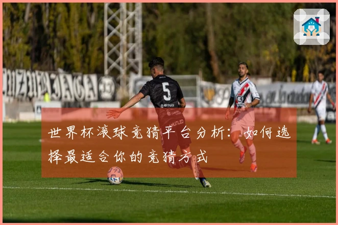 世界杯滚球竞猜平台分析：如何选择最适合你的竞猜方式